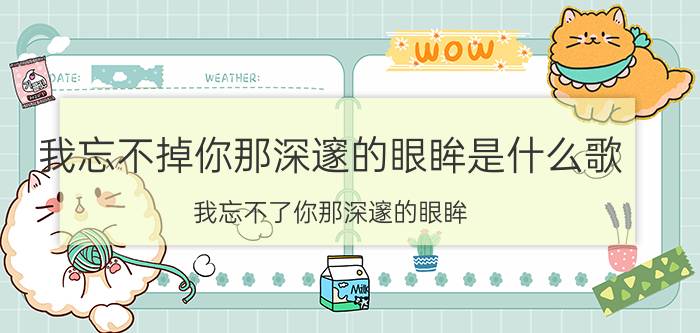 我忘不掉你那深邃的眼眸是什么歌 我忘不了你那深邃的眼眸